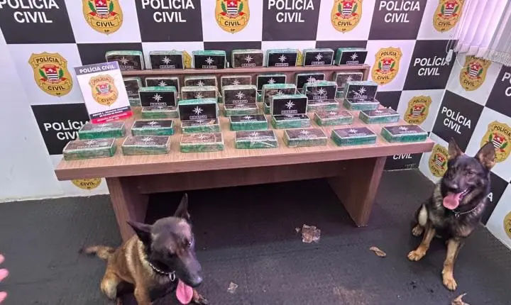 DIG apreende tijolos de crack avaliados em R$ 2 milhões em Patrocínio Paulista