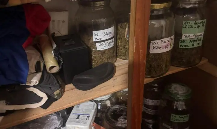 Dise apreende grande quantidade de maconha fracionada em Restinga