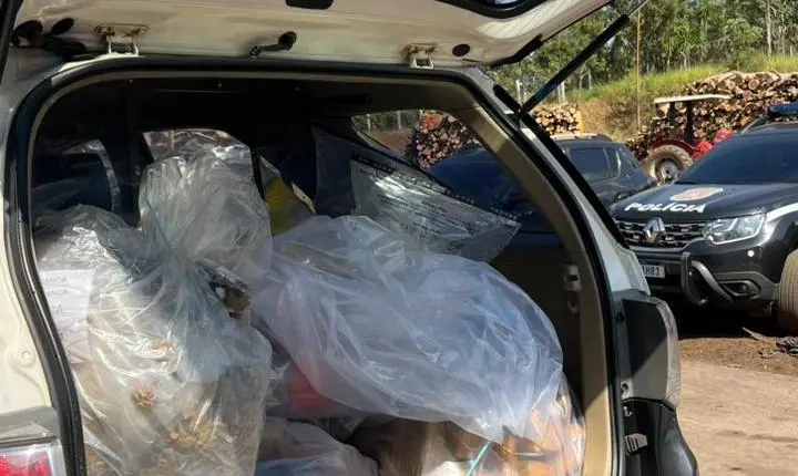 Dise de Franca incinera quase 190 kg de drogas apreendidas na região