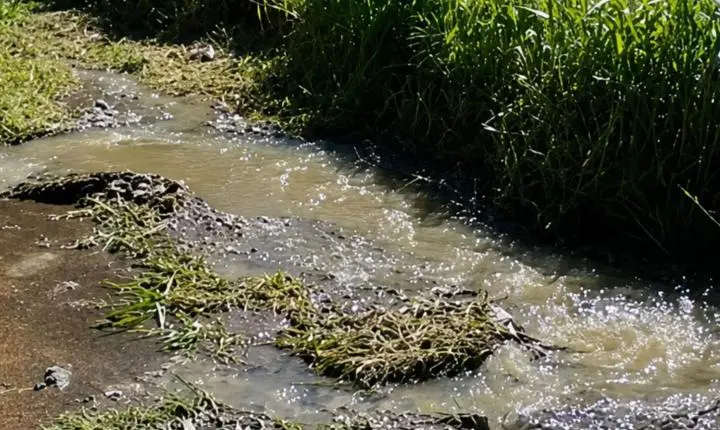 Esgoto a céu aberto preocupa moradores no Jardim Flórida