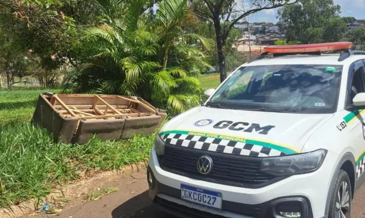 GCM identifica e multa homem por descarte irregular em Franca 