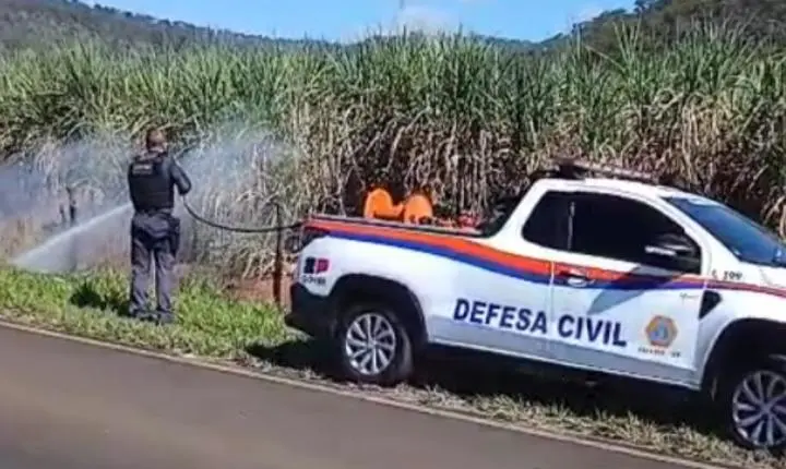 GCM e Defesa Civil controlam incêndio às margens de rodovia em Rifaina