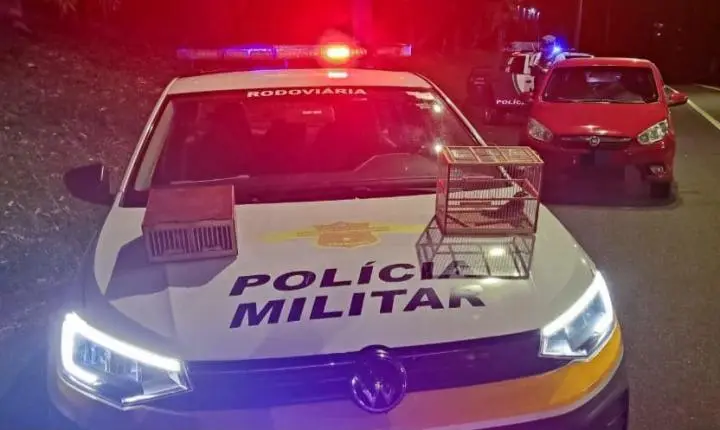 Homem é detido pela PM ao transportar aves silvestres em Pedregulho