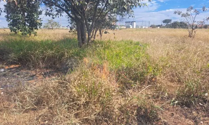 Homem é multado em R$ 13 mil por atear fogo em terreno próximo à Unesp