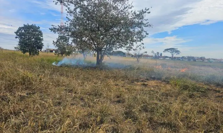 Homem é multado em R$ 13 mil por atear fogo em terreno próximo à Unesp