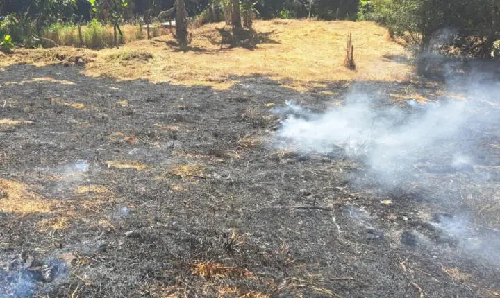 Homem é multado em R$ 13 mil por queimar madeira e causar fumaça 