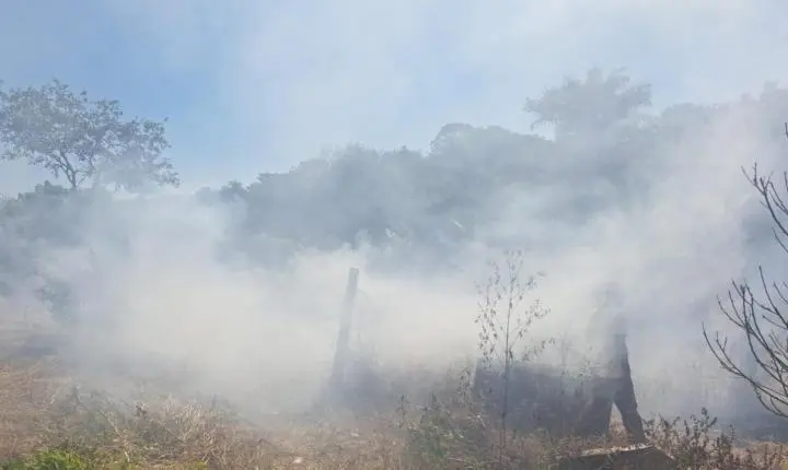 Homem é multado em R$ 13 mil por queimar madeira e causar fumaça 