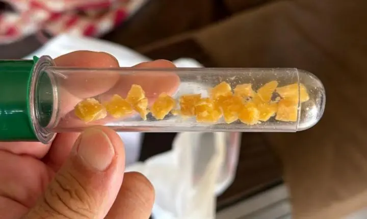 Homem é preso pela Dise com 18 pedras de crack no Jardim Marambaia