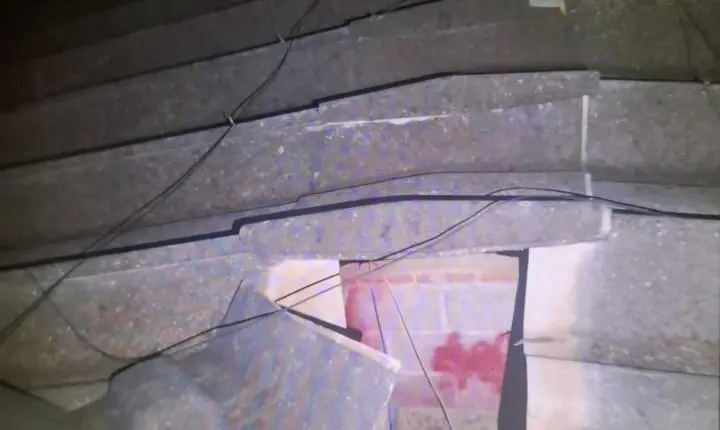 Homem furta fios de escola, cai de árvore durante a fuga e é detido pela GCM