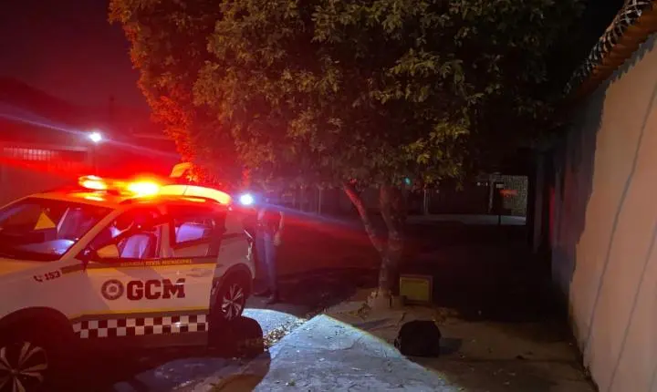 Homem furta fios de escola, cai de árvore durante a fuga e é detido pela GCM