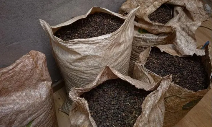 Homem furta sacas de café do patrão e é preso pela PM em Ribeirão Corrente 