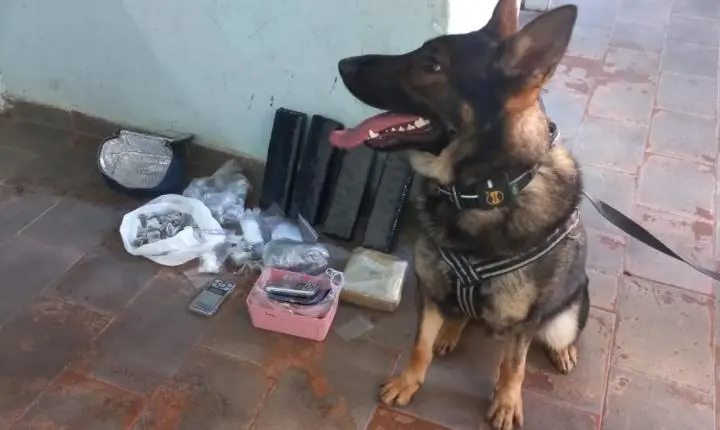 Homem que utilizava motocicleta para entregar drogas é preso pela Dise