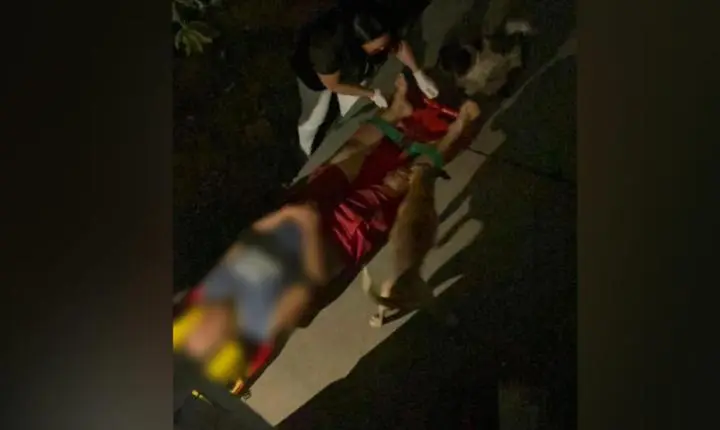 Idosa fica ferida após suposto empurrão durante discussão com filho