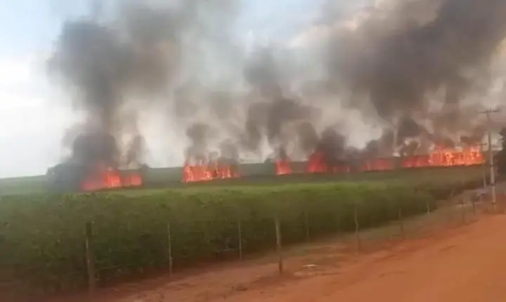 Incêndio atinge canavial próximo à rodovia Tancredo Neves