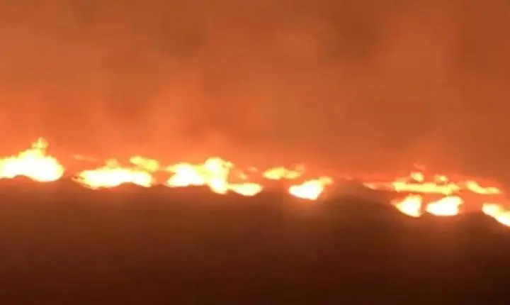 Incêndio de grandes proporções atinge área de mata 