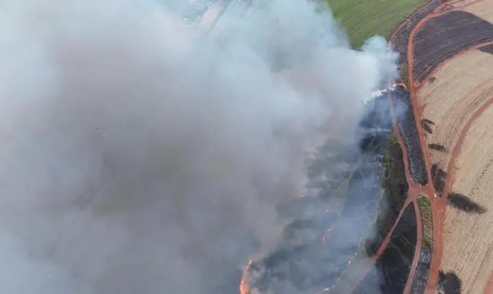 Incêndio de grandes proporções atinge canavial em São Joaquim da Barra 