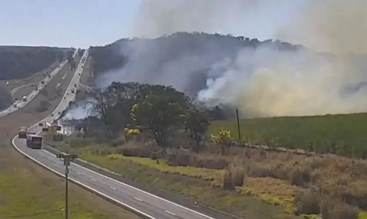 Incêndios às margens de rodovias em Franca têm aumento de até 600% 