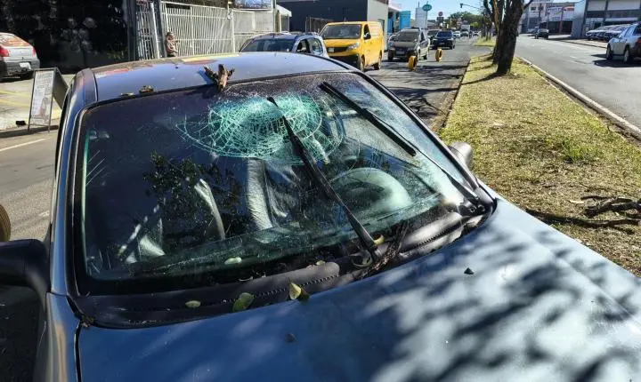 Carro fica abandonado em avenida após bater em árvore