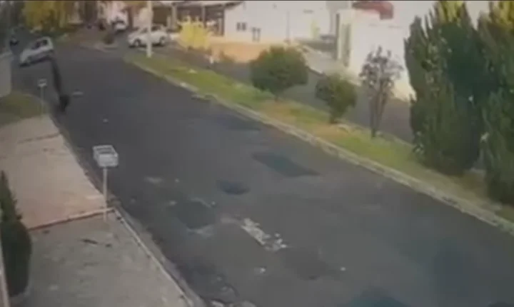 Motociclista 