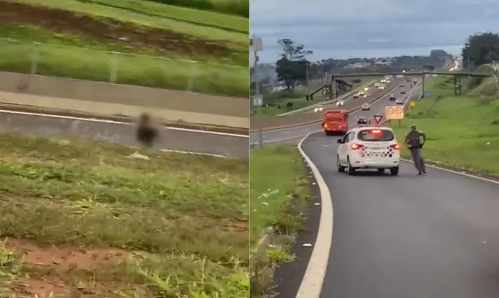 Ladrão invade casa para furtar fios, tenta fugir, mas é preso pela PM