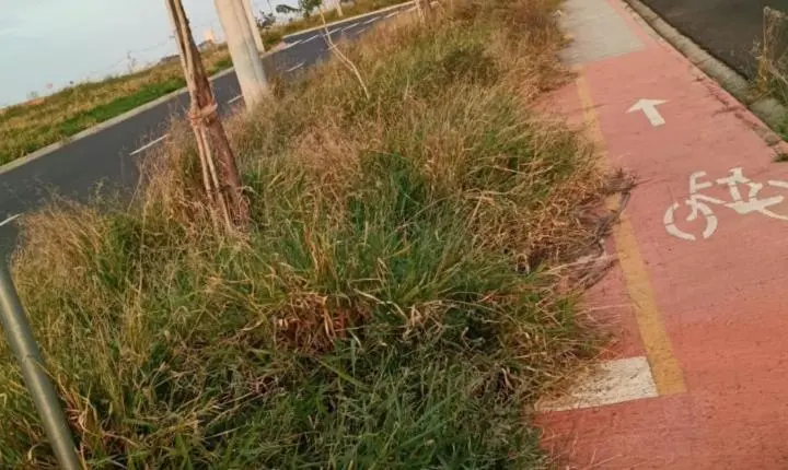 Mato toma conta de ciclovia no Jardim Arizona e moradores cobram limpeza