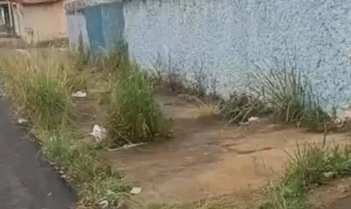 Moradores denunciam mato alto e lixo em calçada de creche na Vila Pedigoni