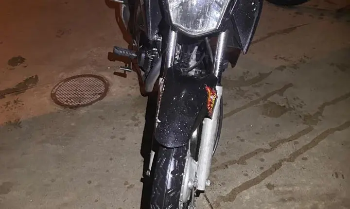 Operação da PM em adega prende dois homens e apreende motos sem placas