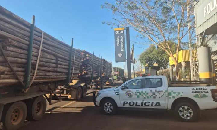 Operação Madeira Legal fiscaliza  27 caminhões na região de Franca