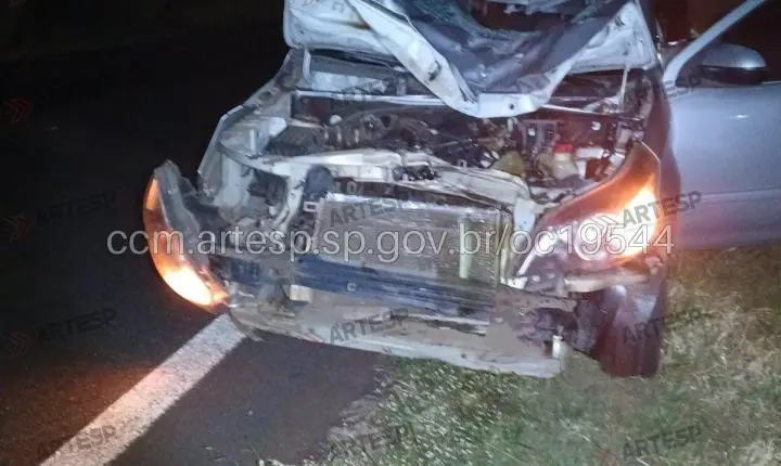 Pedestre morre após ser atropelado em rodovia da região