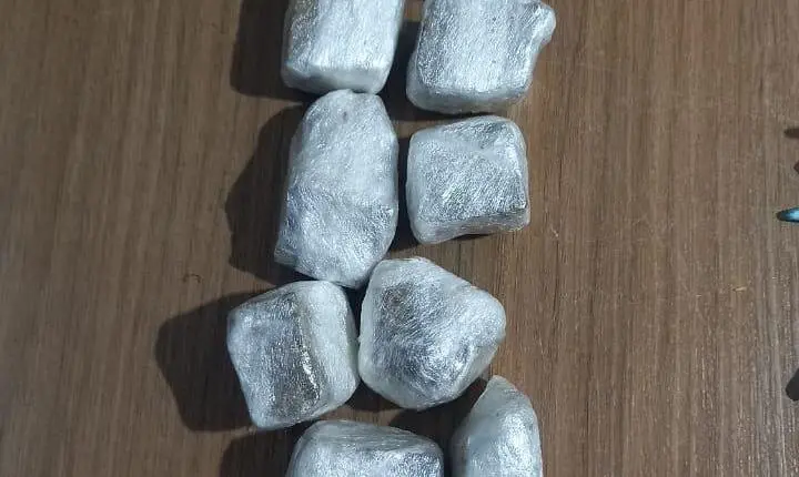 PM apreende drogas em área de mata no Parque do Horto