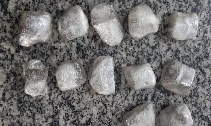 PM apreende drogas em área de mata no Parque do Horto