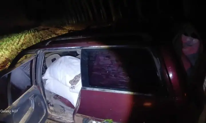 PM recupera 16 sacas de café furtadas em fazenda de Cristais Paulista