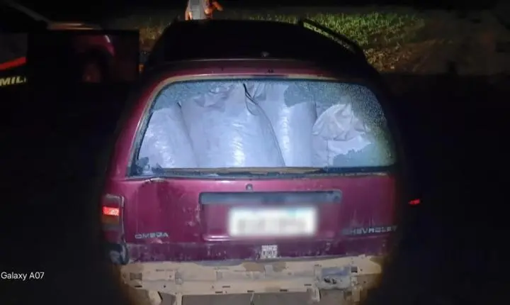 PM recupera 16 sacas de café furtadas em fazenda de Cristais Paulista