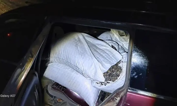 PM recupera 16 sacas de café furtadas em fazenda de Cristais Paulista