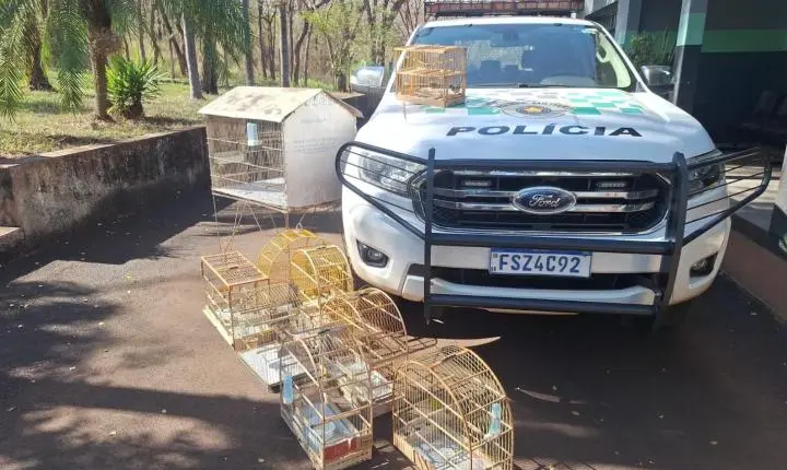 Polícia Ambiental resgata 10 aves silvestres e aplica R$ 5 mil em multas 