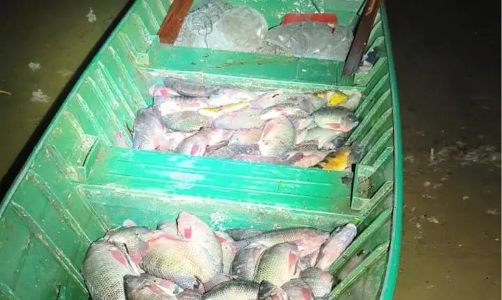 Polícia Ambiental apreende 200 quilos  de peixe e aplica R$ 20 mil em multas