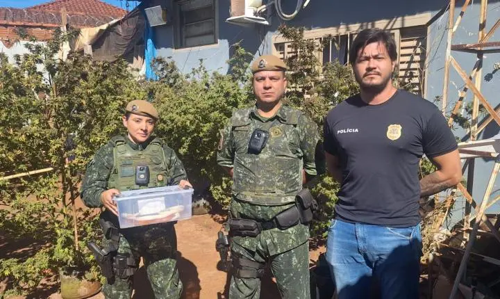 Polícia Ambiental apreende cobras exóticas e aplica multa de R$ 2,4 mil