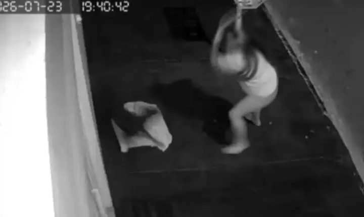 Polícia procura mulher que agrediu cão comunitário no Ipanema