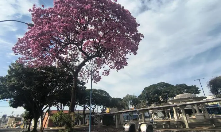 Semana será de sol, temperaturas amenas e sem previsão de chuva 