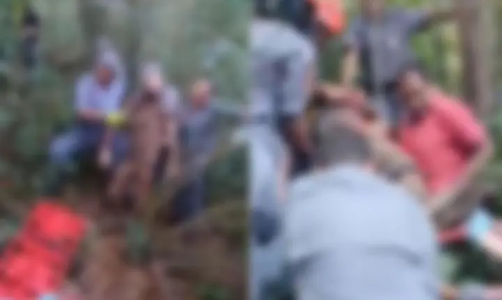 Suposto ladrão invade chácara e tem corpo dilacerado por pitbulls; assista 