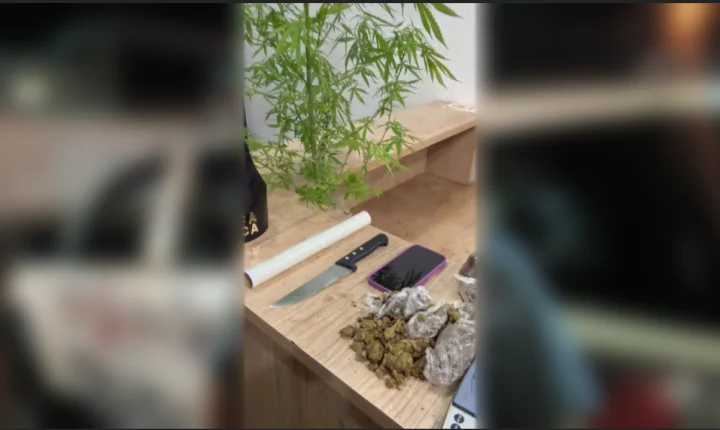 Traficante foge e esposa é presa pela Força Tática por tráfico de drogas 