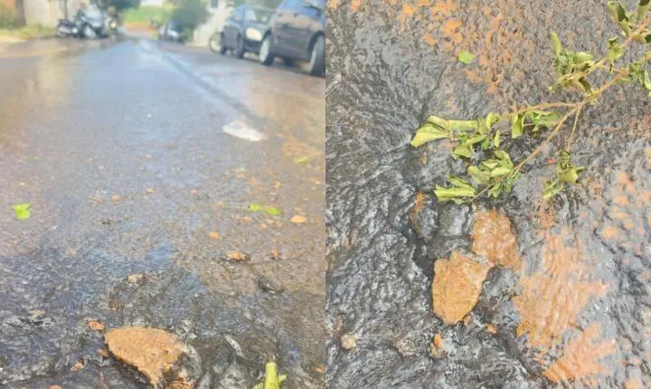Vazamento desperdiça água e faz asfalto ceder em frente a escola 